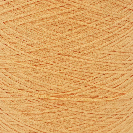 Cotton art. Fetuccia col. Light Orange_1.jpg